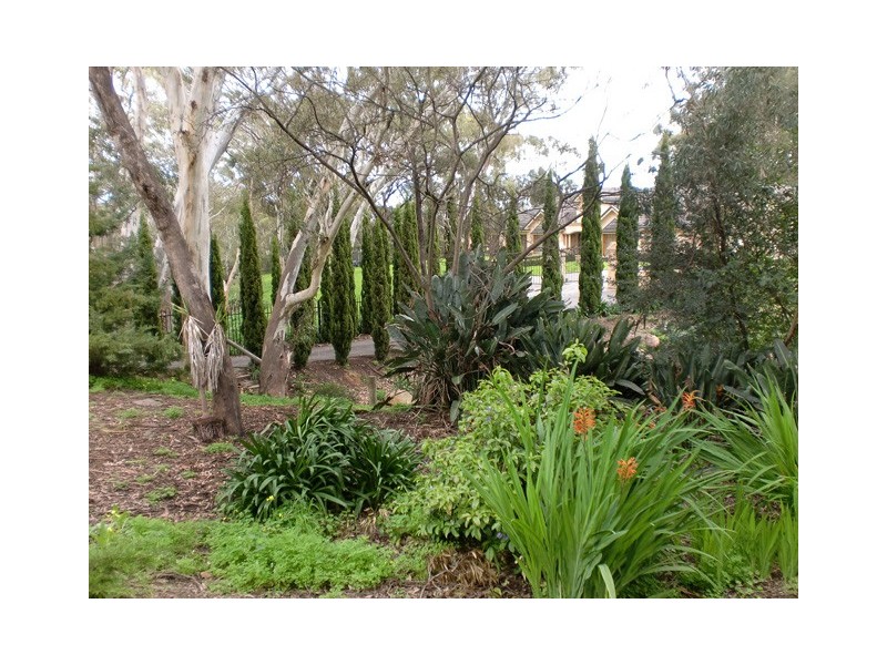 16 Nicholas Walk, Aberfoyle Park SA 5159