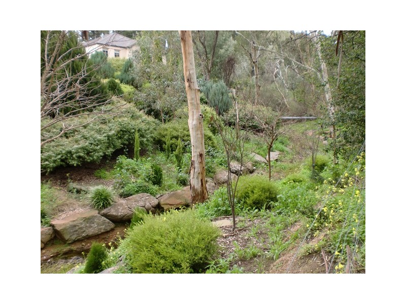 16 Nicholas Walk, Aberfoyle Park SA 5159