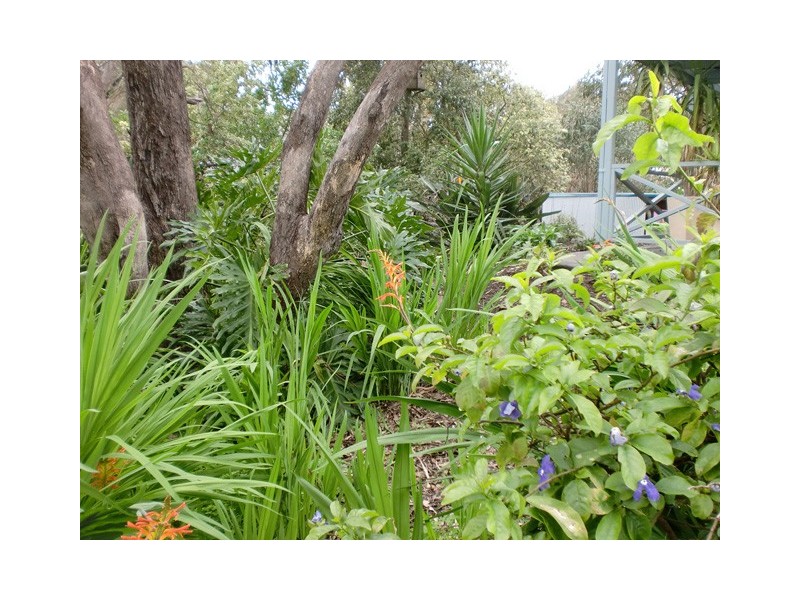 16 Nicholas Walk, Aberfoyle Park SA 5159