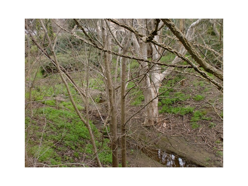 16 Nicholas Walk, Aberfoyle Park SA 5159