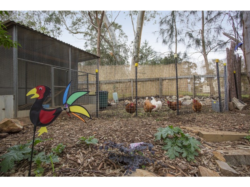 3 St Ninians Road, Clarendon SA 5157