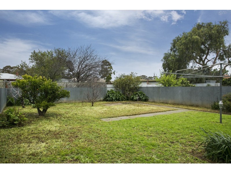 31 Claines Ave, Morphettville SA 5043