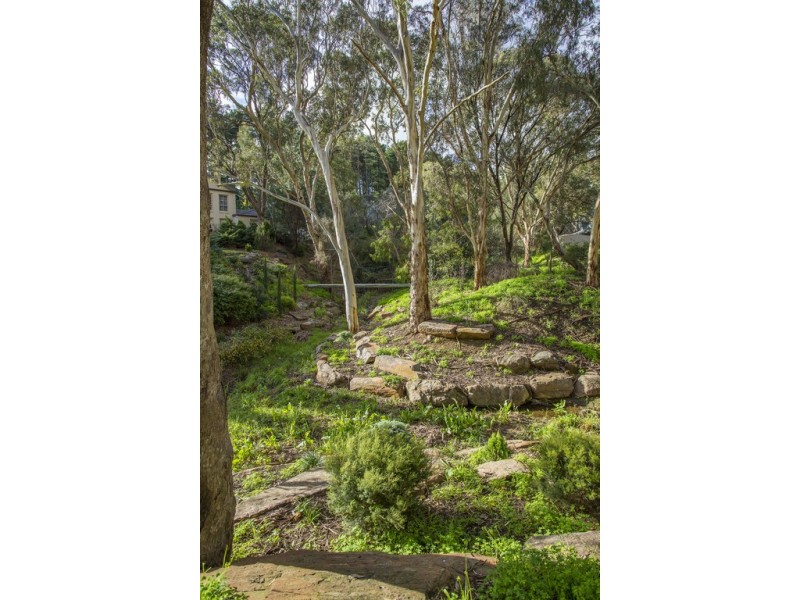 16 Nicholas Walk, Aberfoyle Park SA 5159