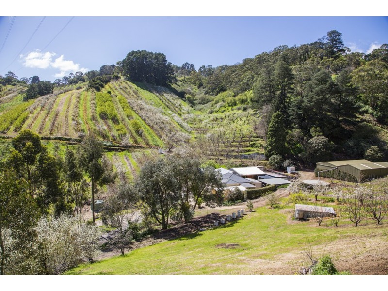 99b Old Norton Summit Road, Norton Summit SA 5136