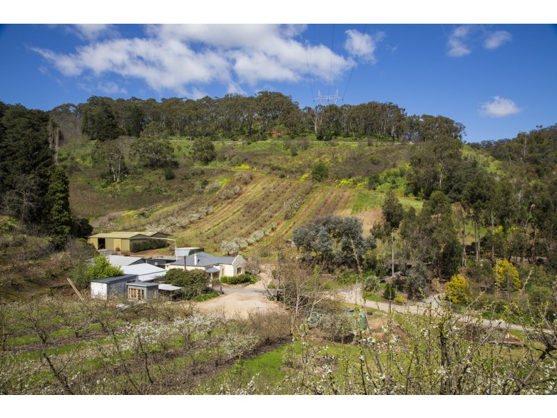 99b Old Norton Summit Road, Norton Summit SA 5136