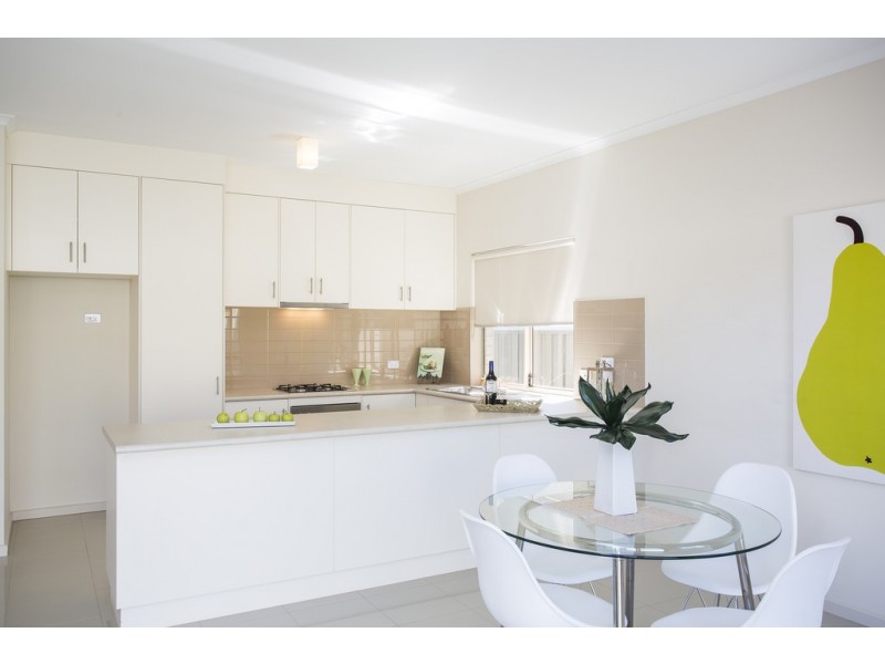 8 Edwards Ave, Park Holme SA 5043