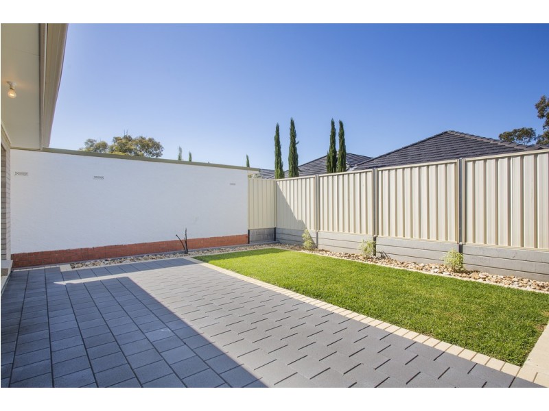 8 Edwards Ave, Park Holme SA 5043