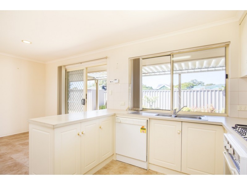 3 Fiscom Street, Marion SA 5043
