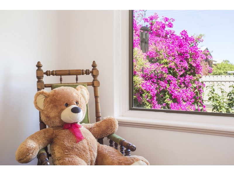 14 Audrey Street, Ascot Park SA 5043