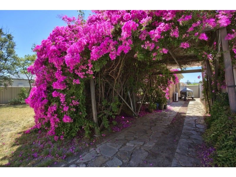 14 Audrey Street, Ascot Park SA 5043