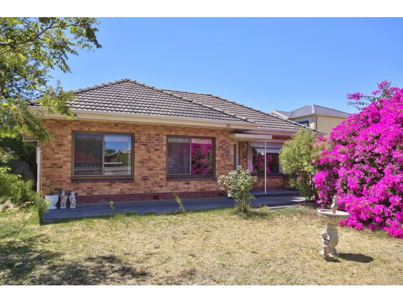 14 Audrey Street, Ascot Park SA 5043