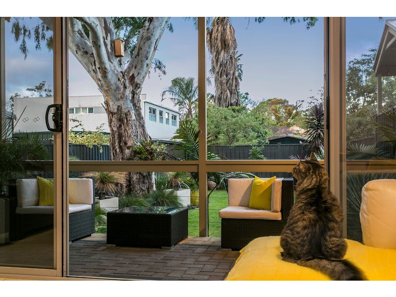 5/14 Randolph Avenue, Parkside SA 5063