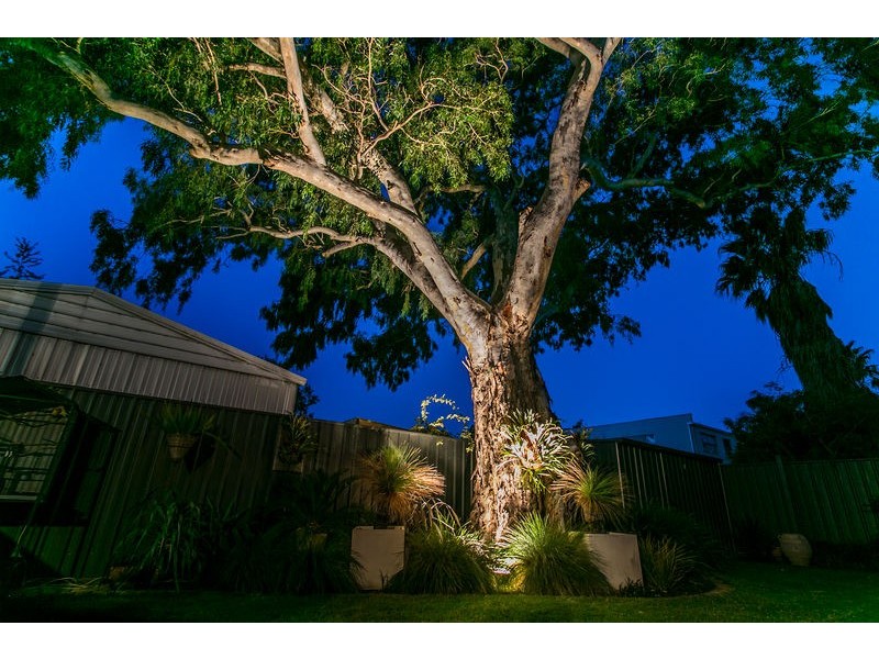 5/14 Randolph Avenue, Parkside SA 5063