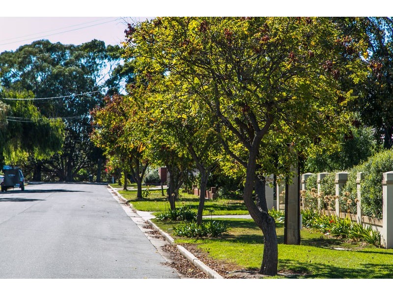 53 Clyde Avenue, Lockleys SA 5032