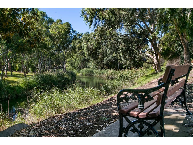 53 Clyde Avenue, Lockleys SA 5032