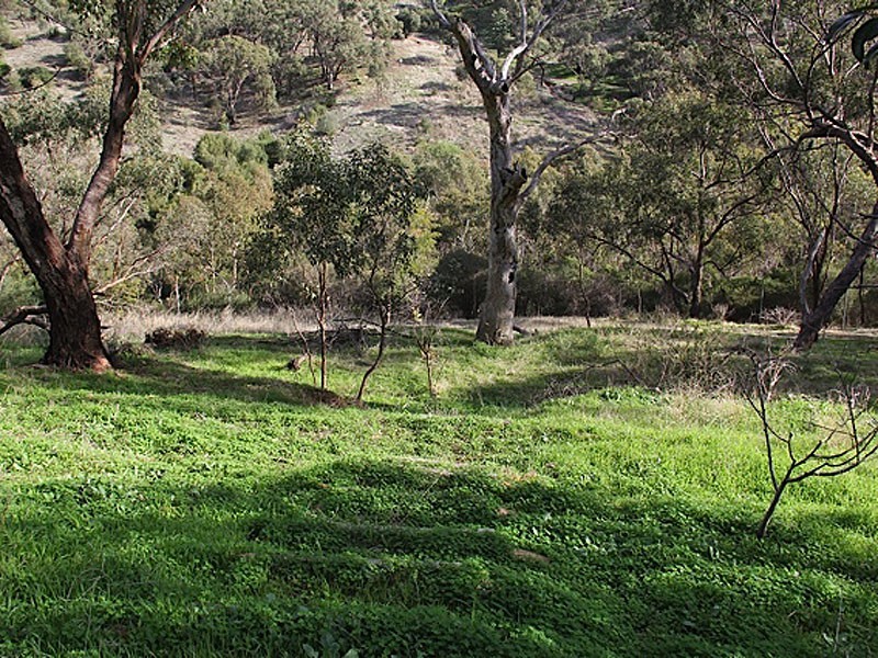 25 Argyll Walk, Bellevue Heights SA 5050