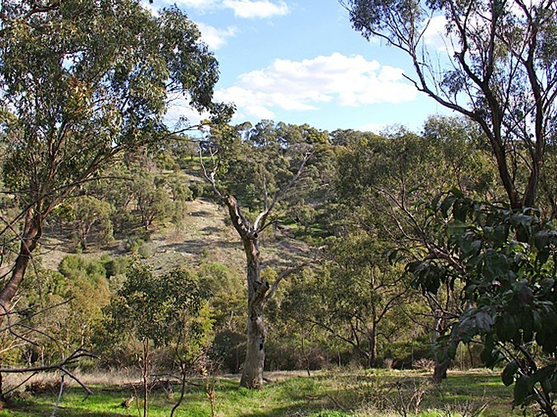 25 Argyll Walk, Bellevue Heights SA 5050