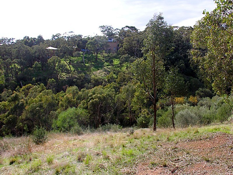 25 Argyll Walk, Bellevue Heights SA 5050