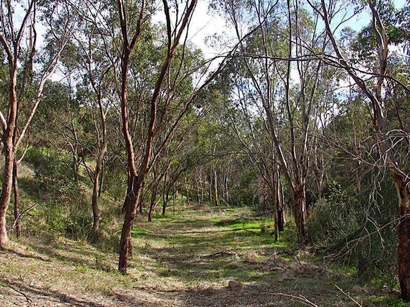 25 Argyll Walk, Bellevue Heights SA 5050