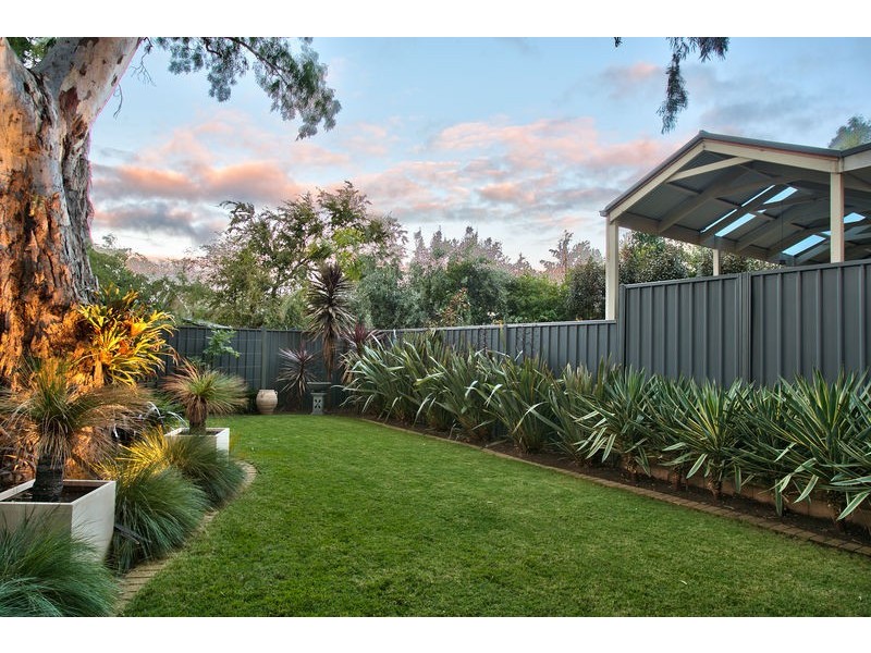 Res-5, 14 Randolph Avenue, Parkside SA 5063