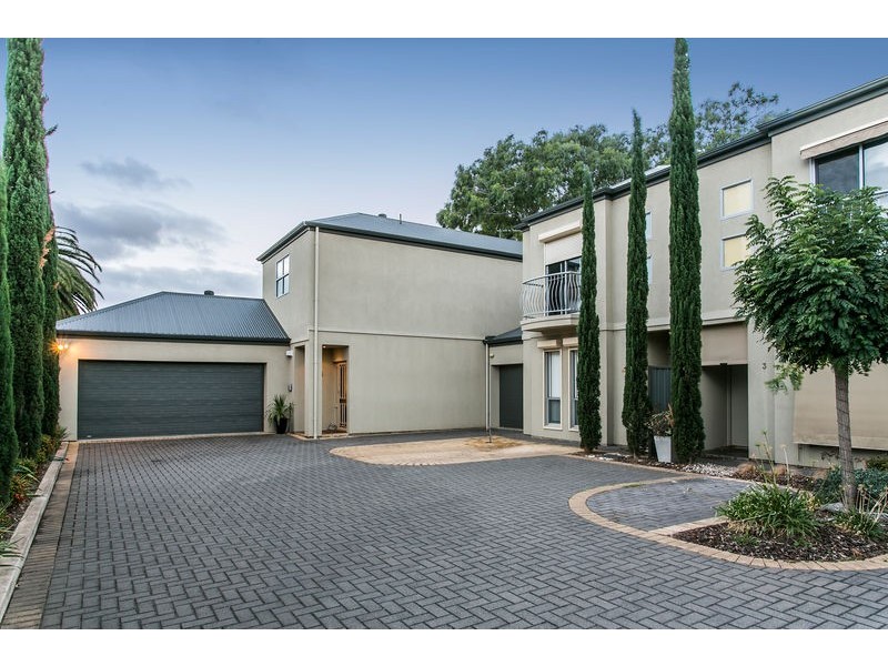 Res-5, 14 Randolph Avenue, Parkside SA 5063