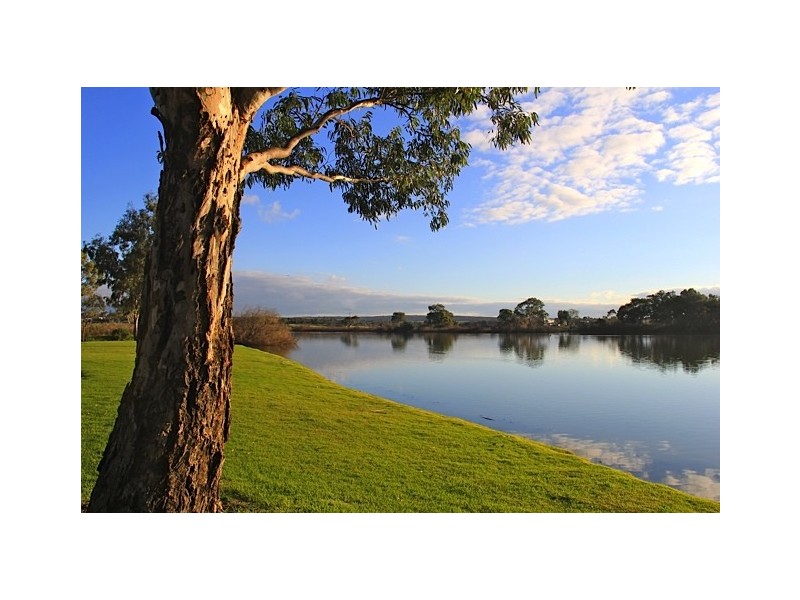 Lot 51 Siesta Drive, Murray Bridge SA 5253
