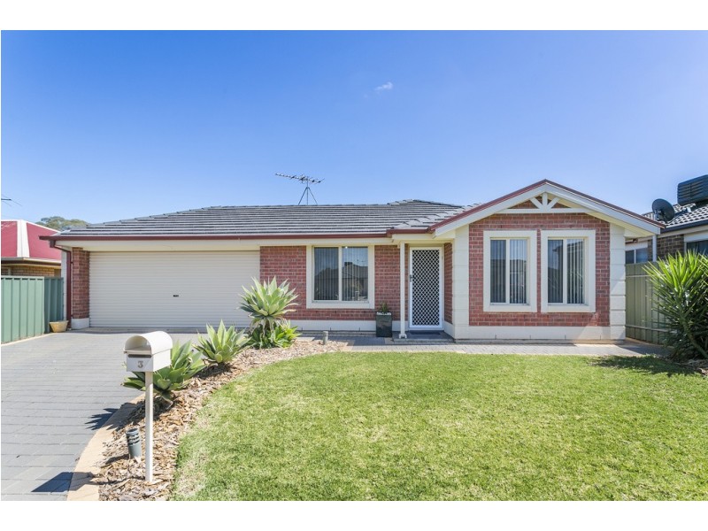 3 Tree Top Avenue, Munno Para West SA 5115