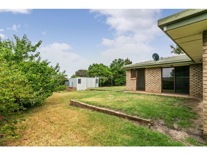 47 Suzanne Avenue, Morphett Vale SA 5162