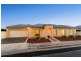 10 Albert Avenue, Camden Park SA 5038