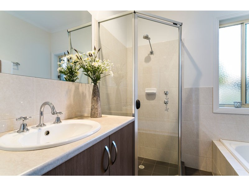 10 Albert Avenue, Camden Park SA 5038