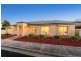 10 Albert Avenue, Camden Park SA 5038