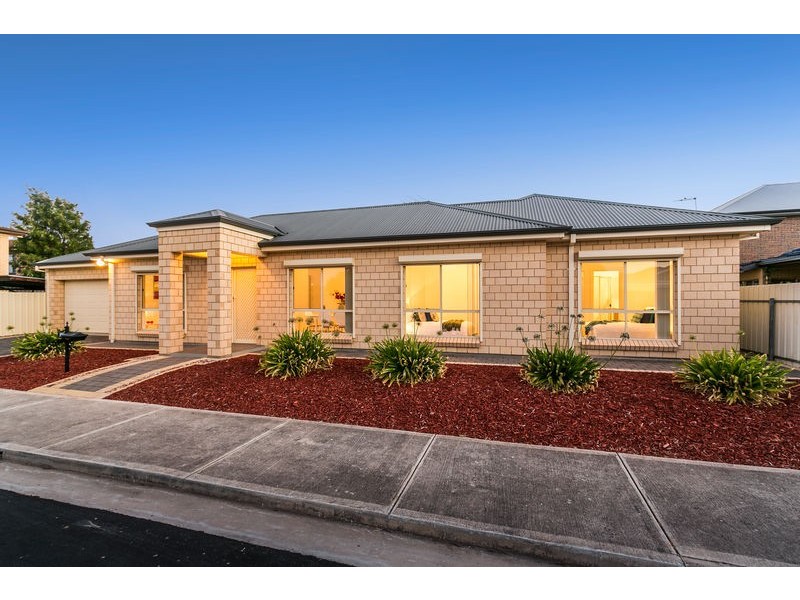 10 Albert Avenue, Camden Park SA 5038