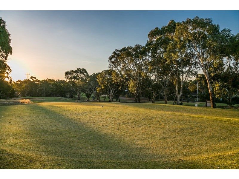 41 Pinnacle Crescent, Flagstaff Hill SA 5159