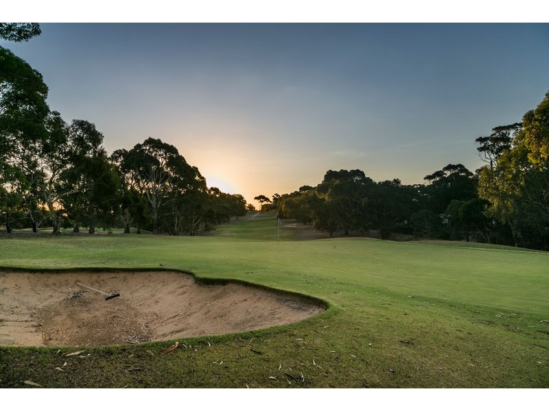 41 Pinnacle Crescent, Flagstaff Hill SA 5159