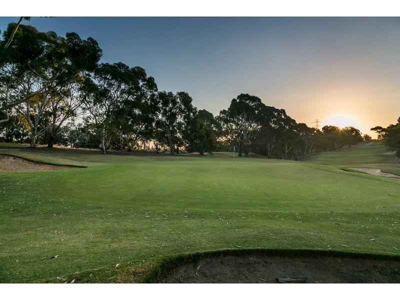 41 Pinnacle Crescent, Flagstaff Hill SA 5159