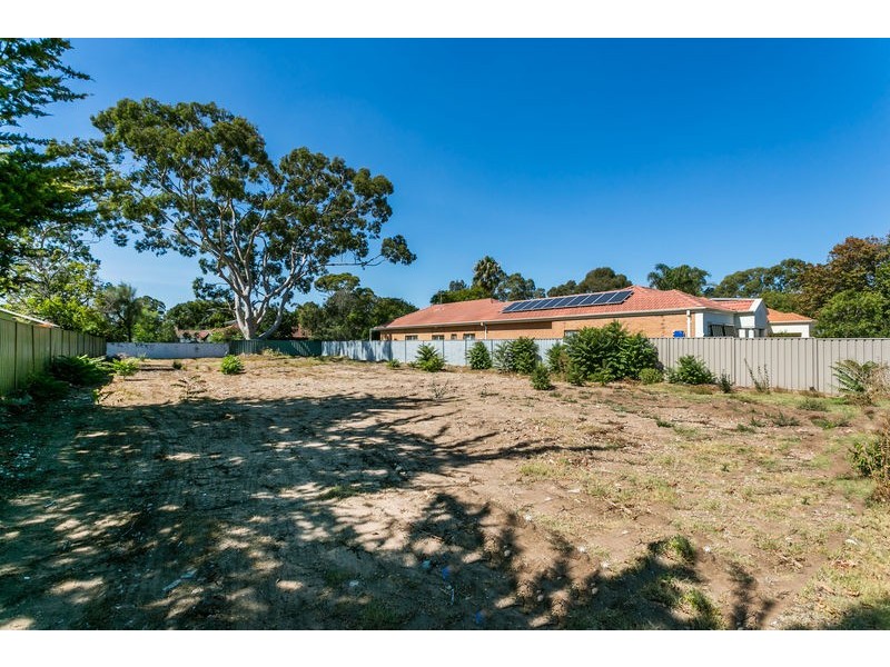 20 Pine Avenue, Novar Gardens SA 5040