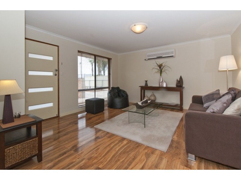 26 Albert Avenue, Camden Park SA 5038