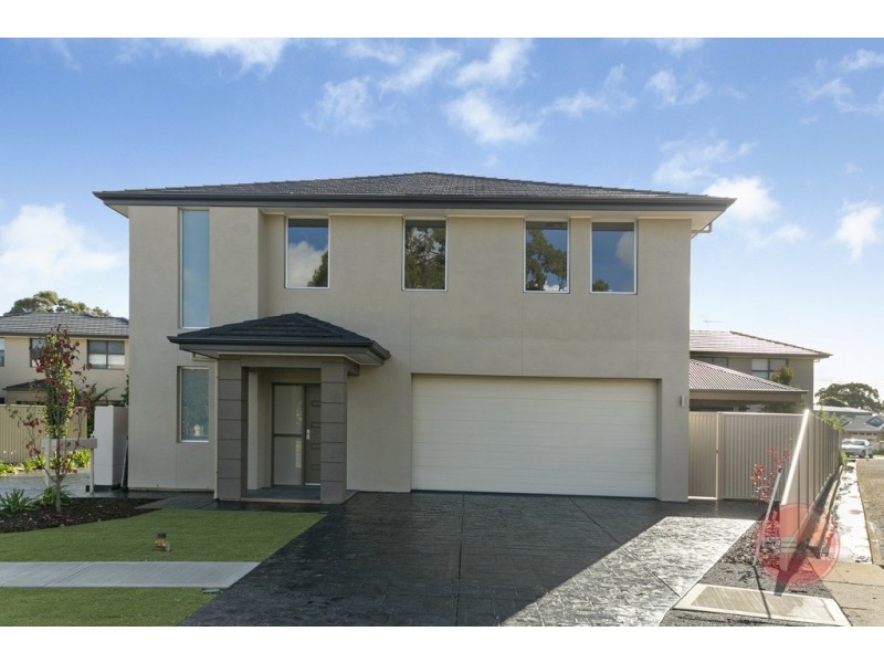 37 Radstock Street, Morphettville SA 5043