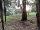 Lot 72 McGilp Road, One Tree Hill SA 5114