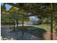 6 Atkinson Crescent, Aldinga Beach SA 5173