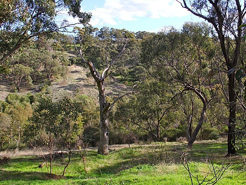 .25 Argyll Walk, Bellevue Heights SA 5050