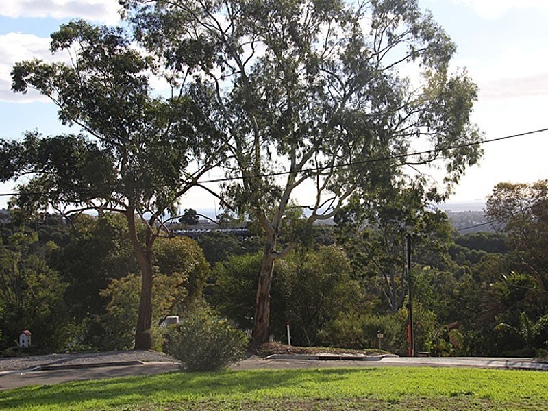 .25 Argyll Walk, Bellevue Heights SA 5050