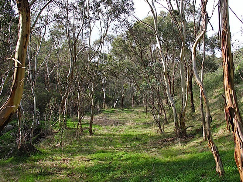 .25 Argyll Walk, Bellevue Heights SA 5050