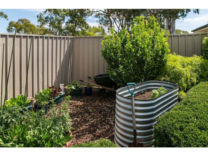 21 Wooding Avenue, Woodcroft SA 5162