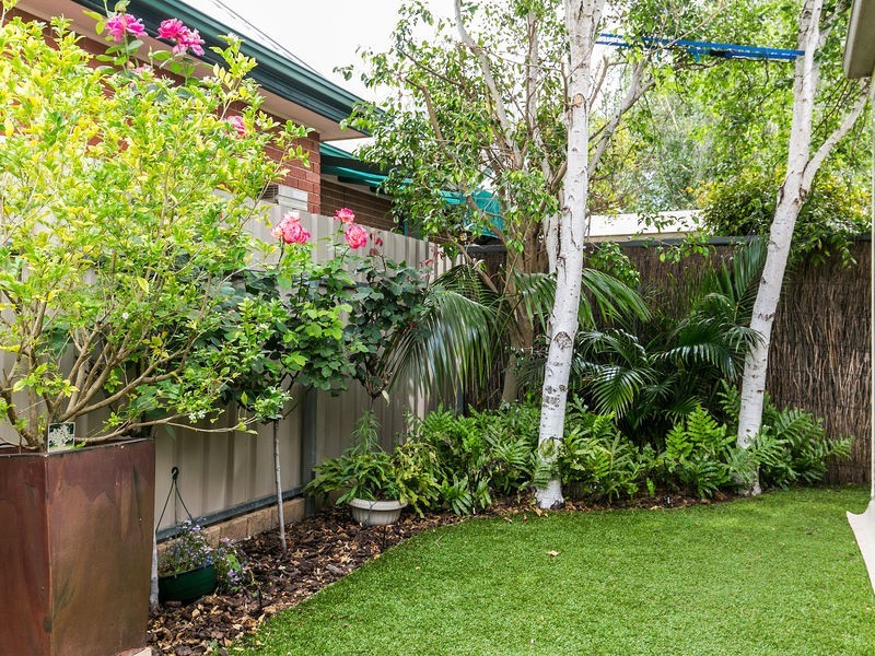 3A Louisa Street (fringe of Hyde Park), Goodwood SA 5034