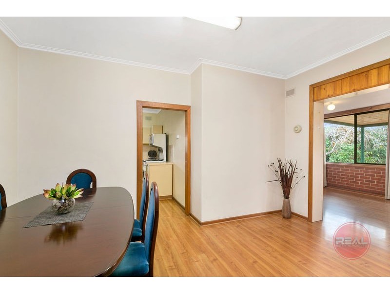 8 Ragless Avenue, Park Holme SA 5043