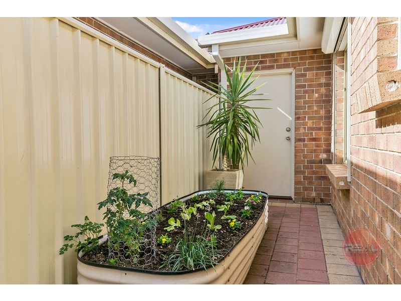 5a Davidson Avenue, Park Holme SA 5043