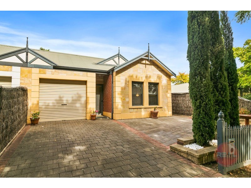 53 Le Hunte Street, Wayville SA 5034