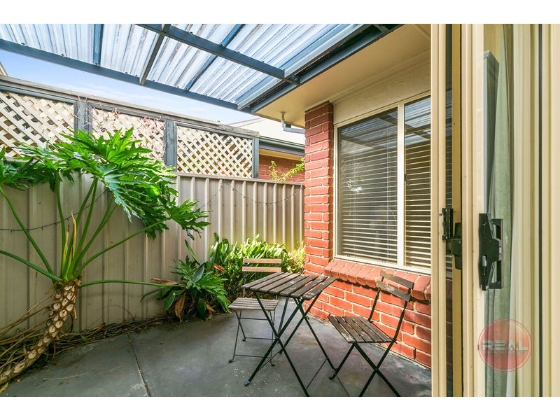 53 Le Hunte Street, Wayville SA 5034