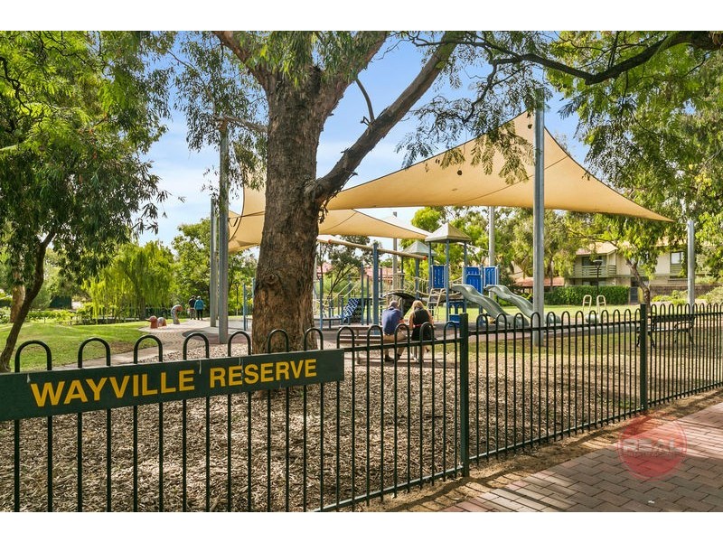 53 Le Hunte Street, Wayville SA 5034